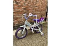 raleigh songbird 14
